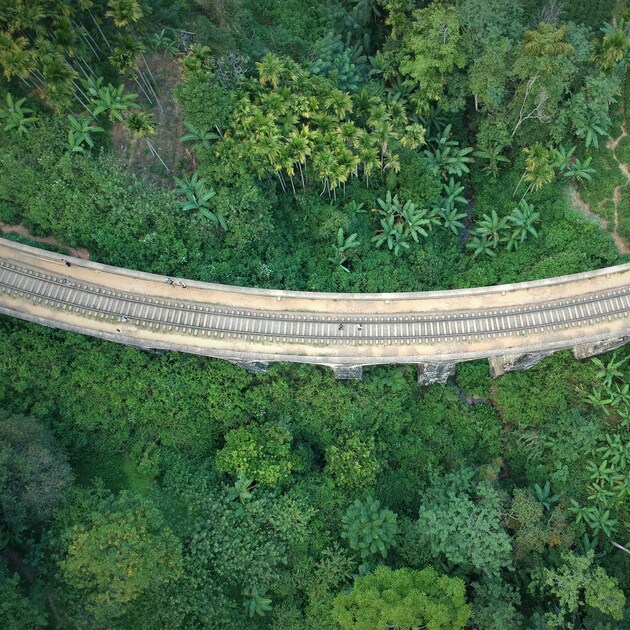 Ella Scenic Train & Nine Arch Bridge Day Tour